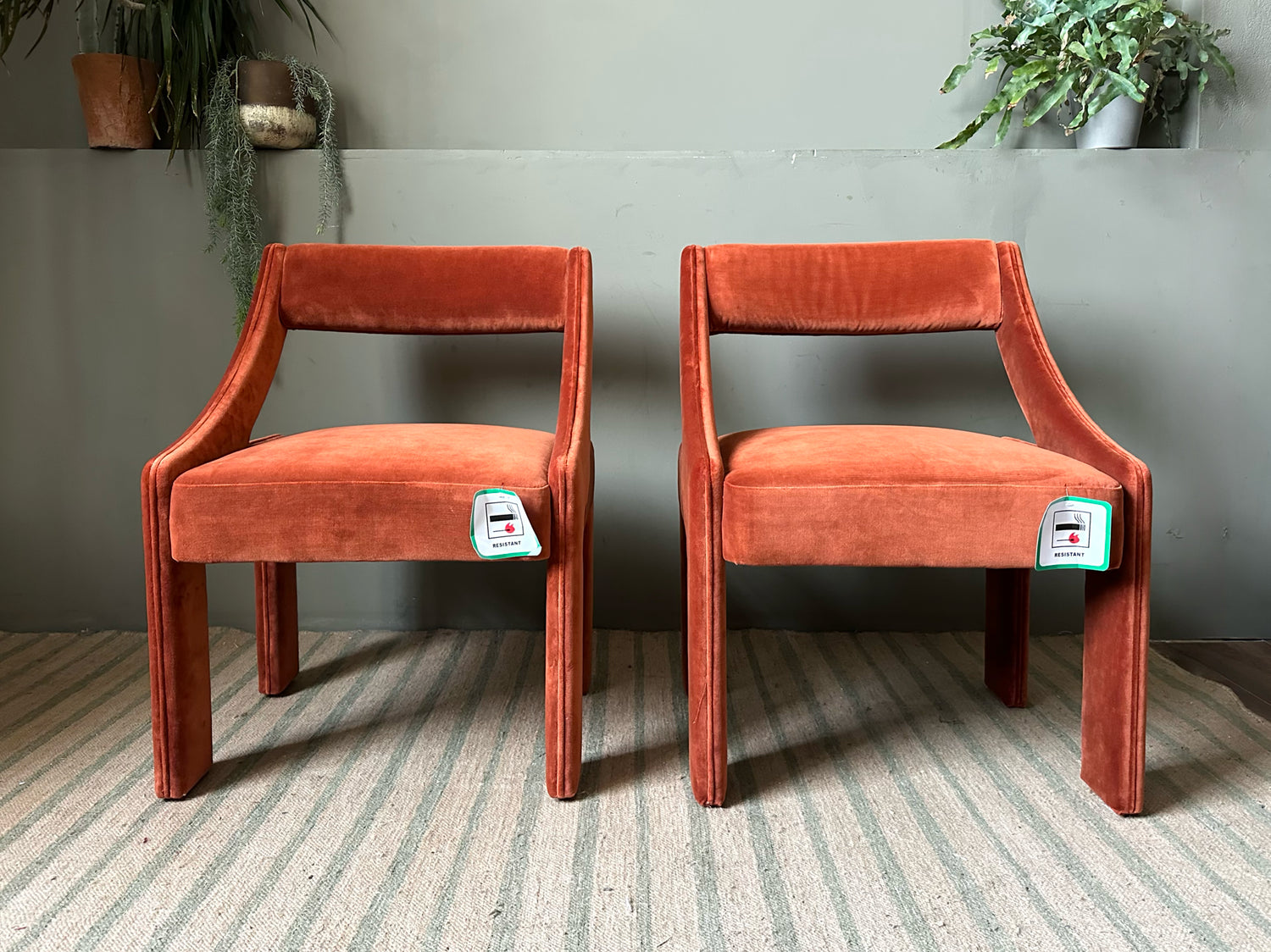 Soho Home — Laurie Dining Chair
